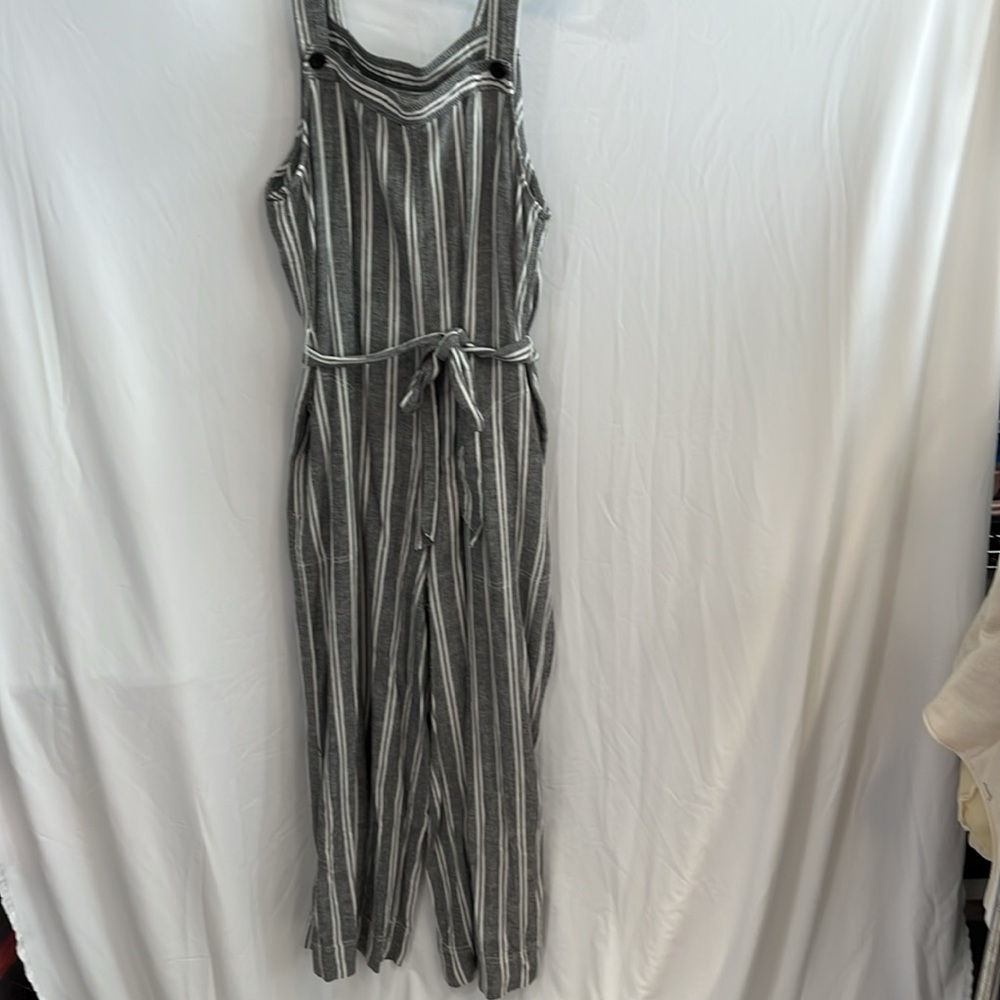 Splendid Striped Overalls/Jumpsuit